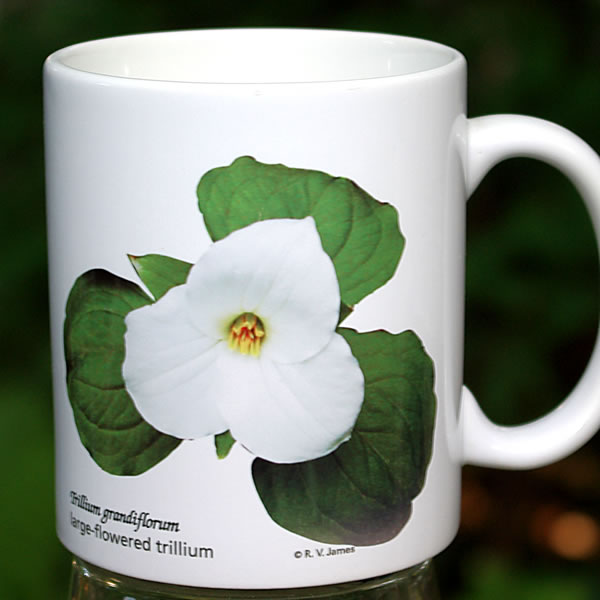 mug trillium large 8136.jpg